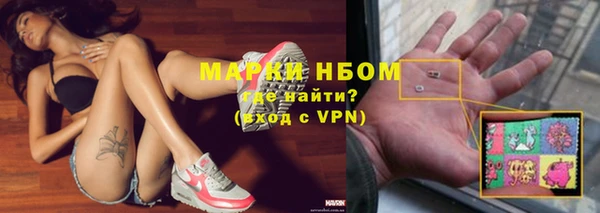 прущие грибы Алексин