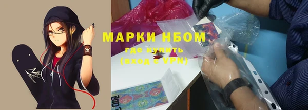 дмт Алзамай