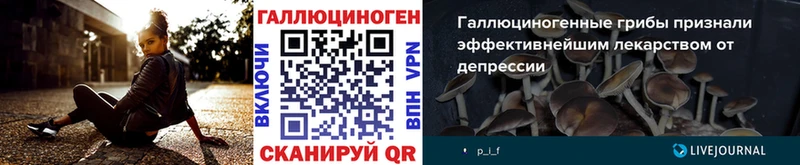 продажа наркотиков Салават Галлюциногенные грибы Cubensis