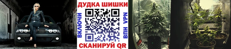 Канабис семена  купить  цена  OMG зеркало  Салават 